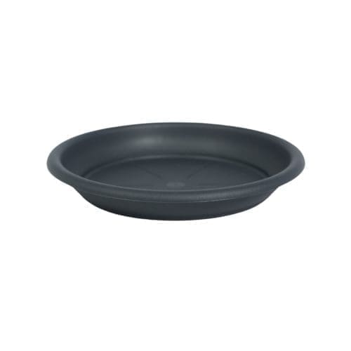 Soucoupe noire pour mettre en dessous de coupe. Protection pour coupe.