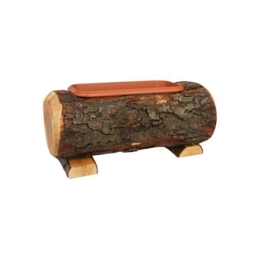 Jardinière tronc de bois extérieur 30 cm avec soucoupe.