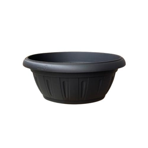 coupe omega ovale erba anthracite pour jardinerie, horticulture