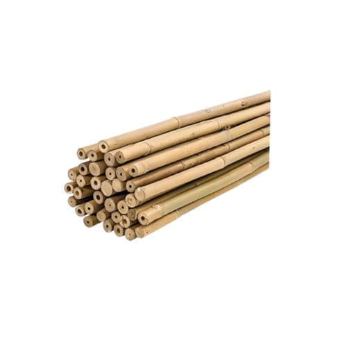 tuteur bambou naturel pour faire tenir les plantes.