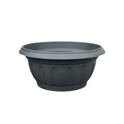 coupe rond gris