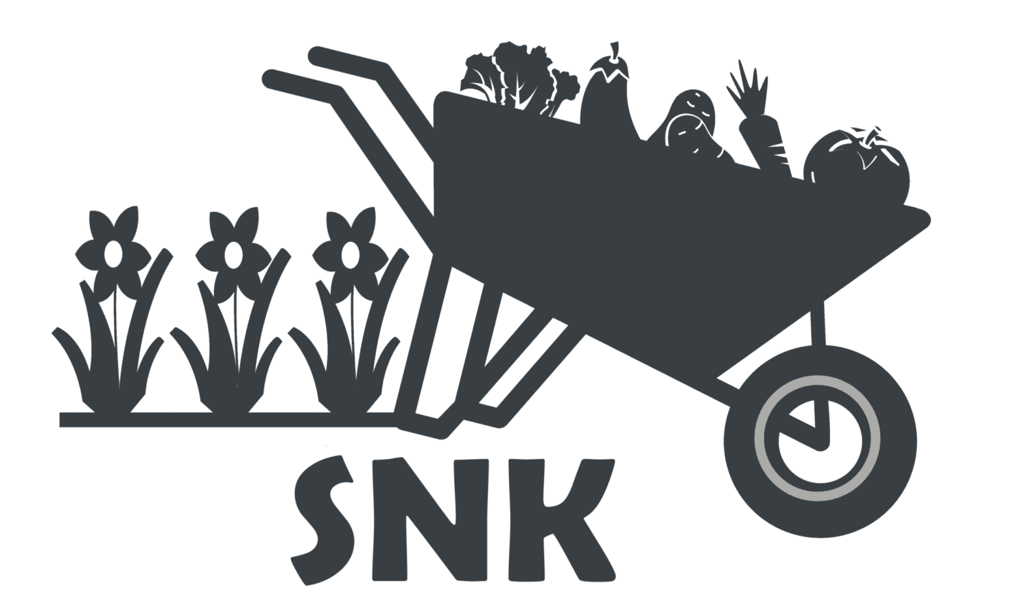 logo correcte