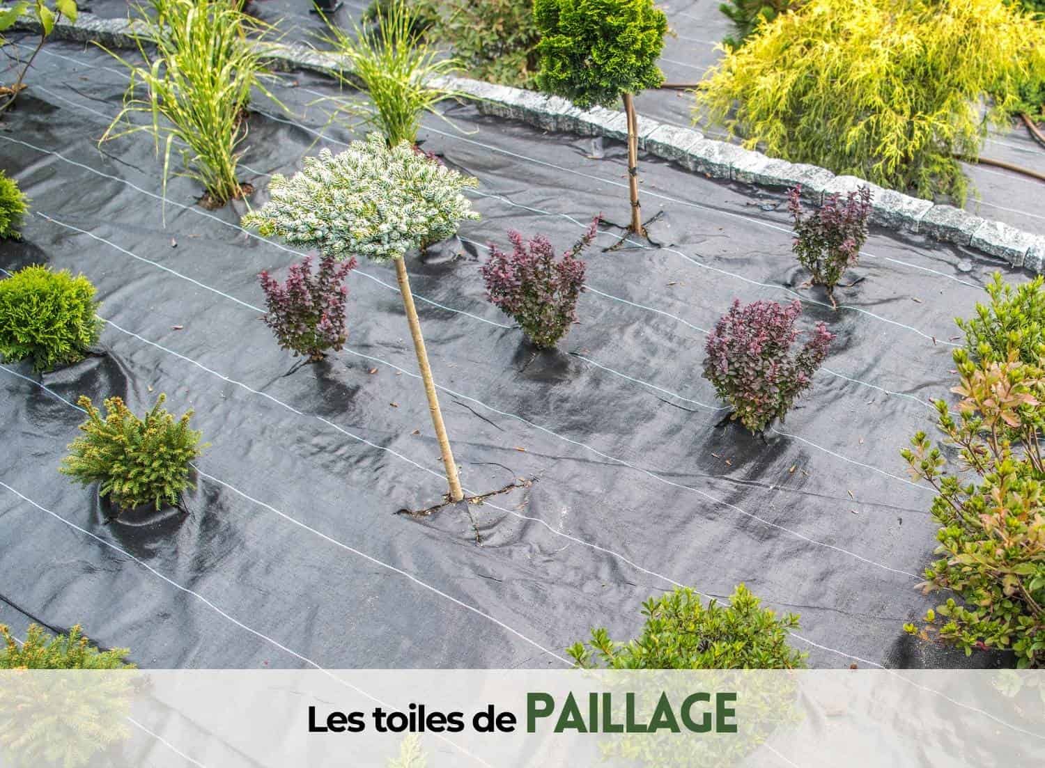 toile de paillage tissée