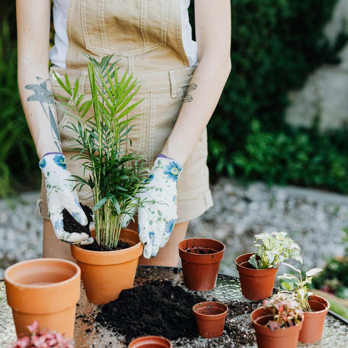jardin et outils