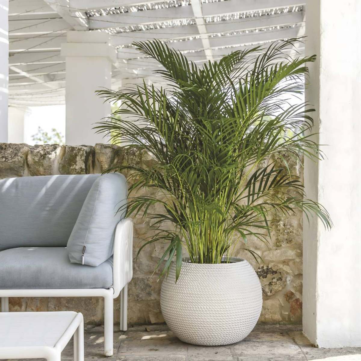 SFERA BALI – Image 2